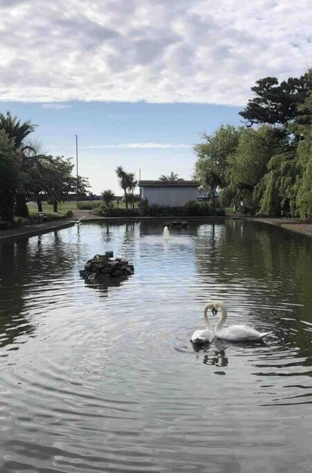 * Popular * Stunning Quiet Apartment By The Sea Torquay Exterior photo